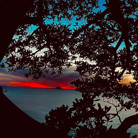 فندق Bonsai تروبيا المظهر الخارجي الصورة